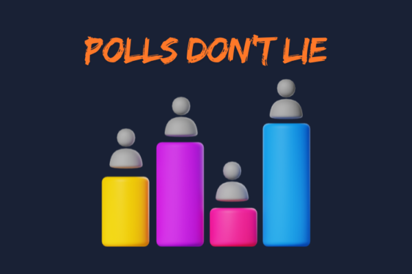 Illustration of a social media poll in action, showcasing how polls engage audiences and provide valuable real-time insights for businesses.